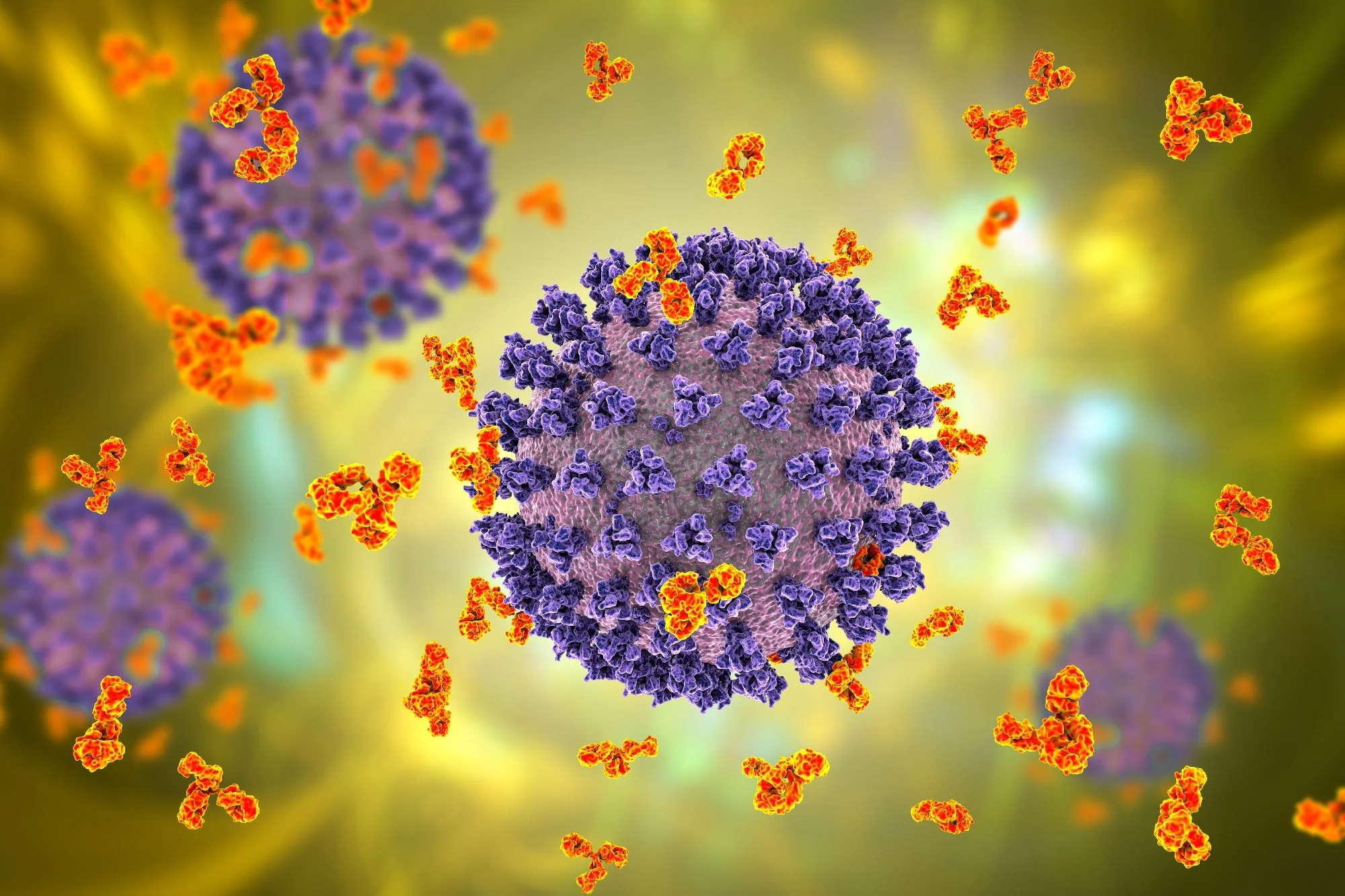 CORONA VIRUS